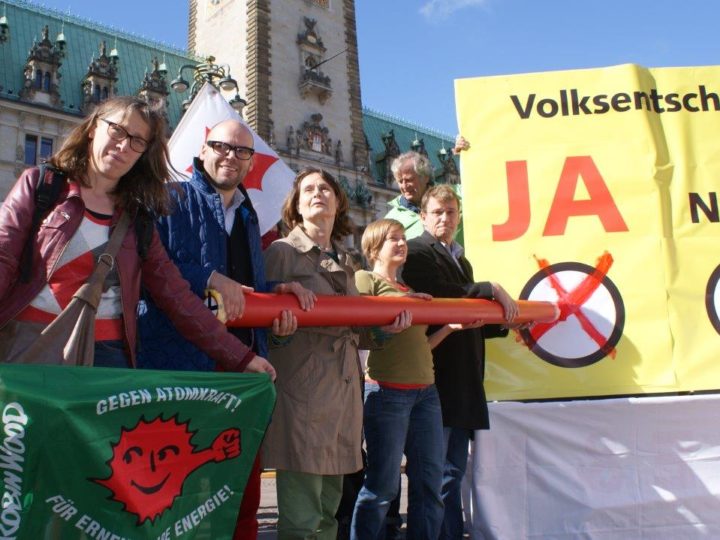 Volksentscheid Hamburg: Ein Kreuz für Energiewende und kommunale Energienetze