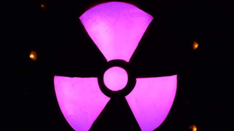 DIW legt Studie vor: Atomenergie ist nicht nachhaltig und zukunftungsfähig – Es braucht Klima- und Plutoniumneutralität!