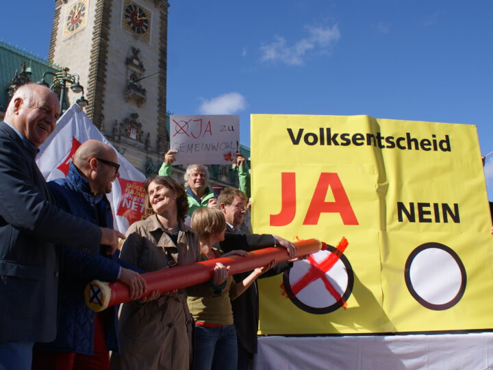 Linksfraktion fordert Fernwärmenetz von HanseWerk Natur in Hamburg rekommunalisieren