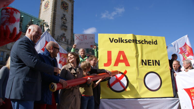 Linksfraktion fordert Fernwärmenetz von HanseWerk Natur in Hamburg rekommunalisieren