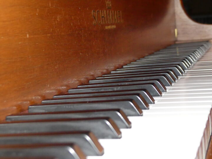 Mit Zwölftonmusik zu einer besseren Gesellschaft – AfD jetzt stoppen!