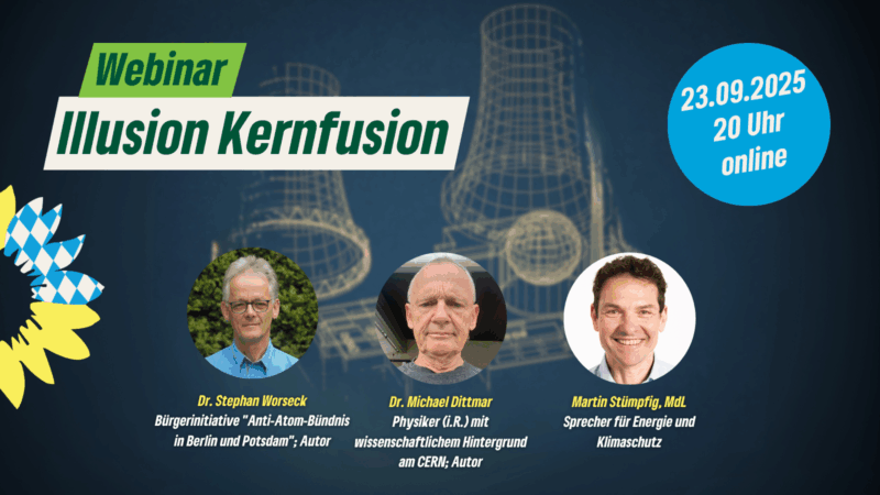 Illusion Kernfusion (des Kaisers Wachstum braucht neue Kleider)?